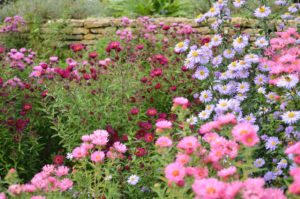 DesignSpace - innovative design for your garden