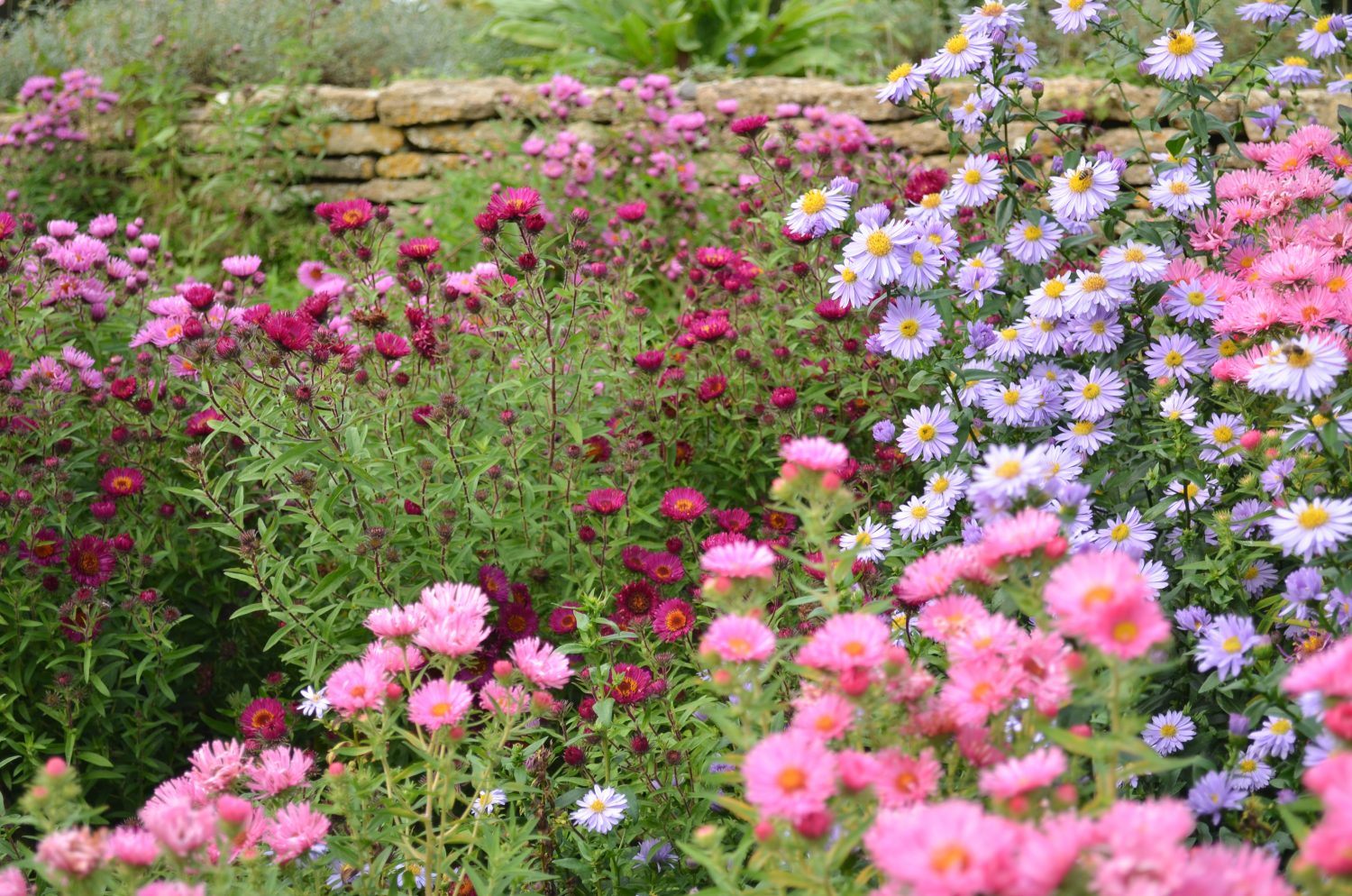 DesignSpace - innovative design for your garden 