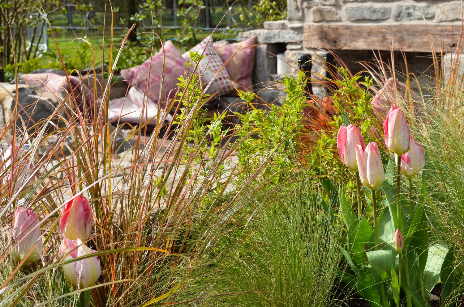 DesignSpace - creative garden design